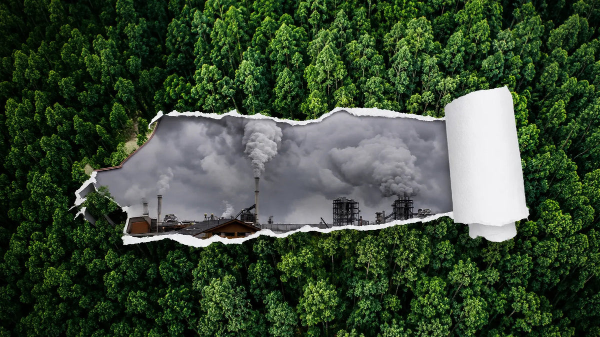 Beyond the green claim: Why certifications protect Food Service brands from greenwashing risk