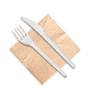 6” Cutlery Set (fork, knife and napkin) | 500 count case wecare