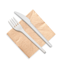 6” Cutlery Set (fork, knife and napkin) | 500 count case wecare