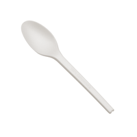 6” Compostable white spoons | 1,000 count case wecare
