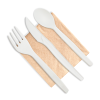 7” Cutlery Set (fork, knife, spoon and napkin) | 500 count case wecare