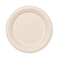 9" Compostable Round Plates | 500 Count Case wecare